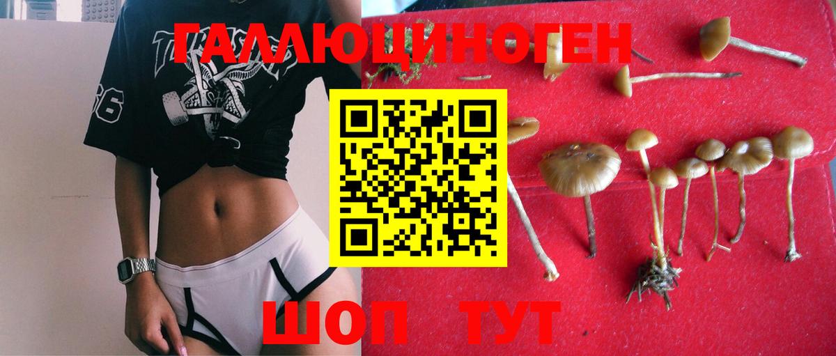 Псилоцибиновые грибы Magic Shrooms Пушкино
