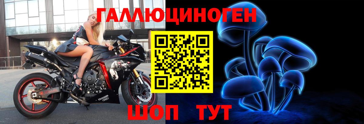 Пушкино  Галлюциногенные грибы Cubensis  Вход с VPN 